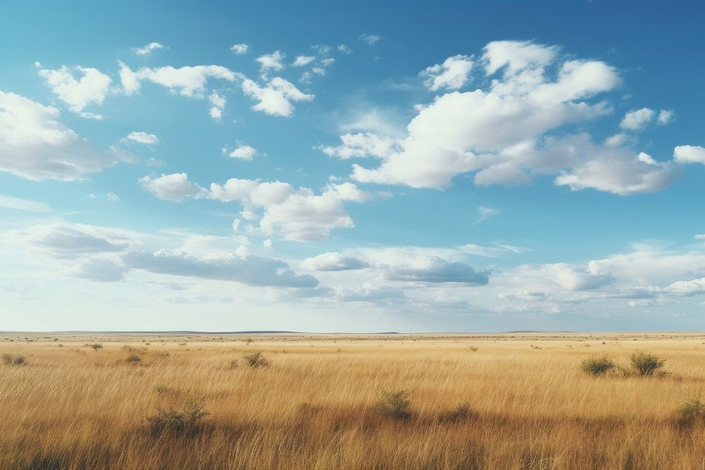 Prairie sky outdoors horizon.