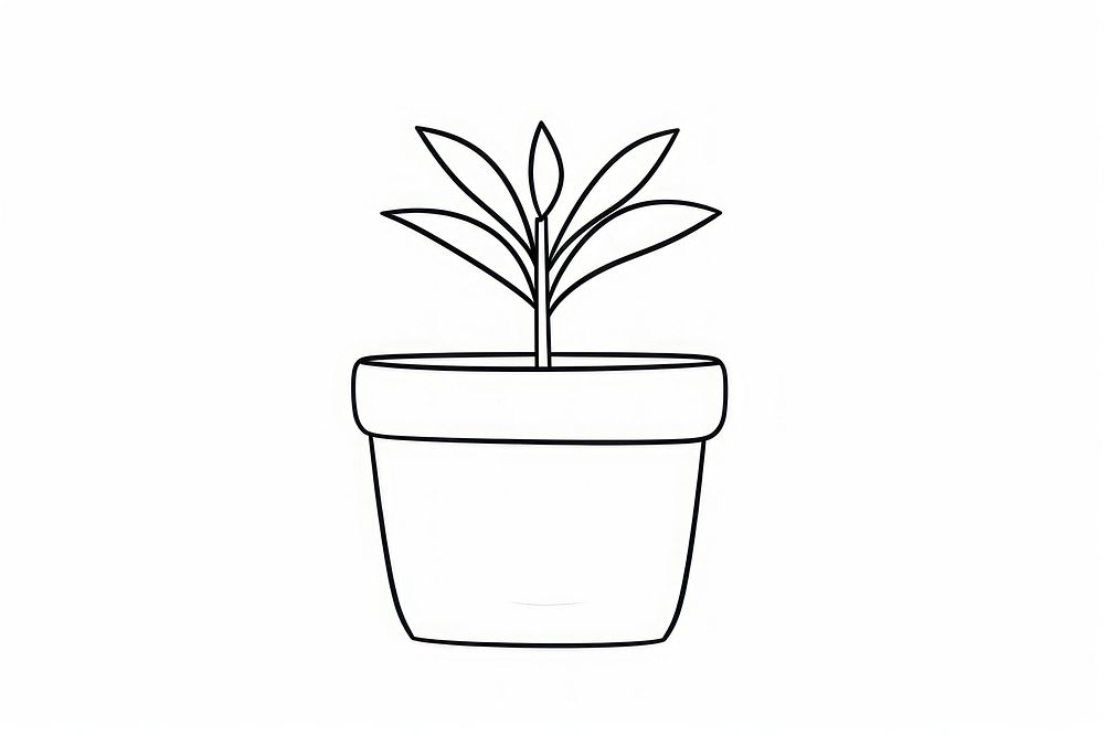 Pot plant drawing cartoon sketch.