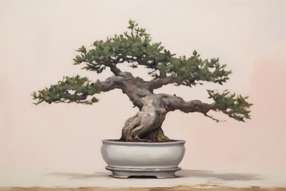 Close up of bonsai plant tree houseplant.