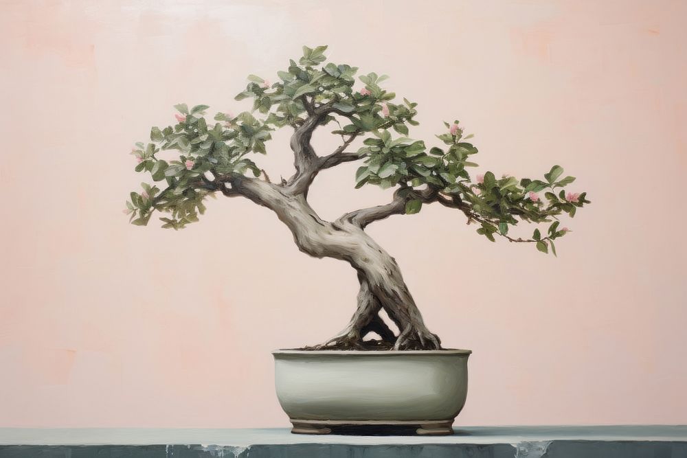 Close up of bonsai plant tree houseplant.