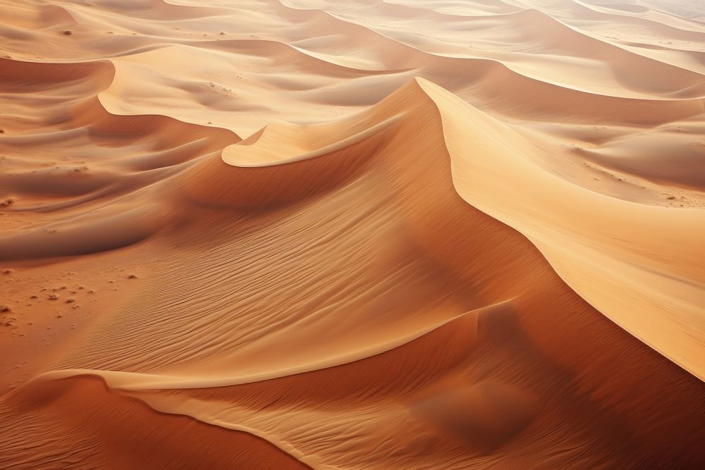 Sand dune outdoors desert nature.