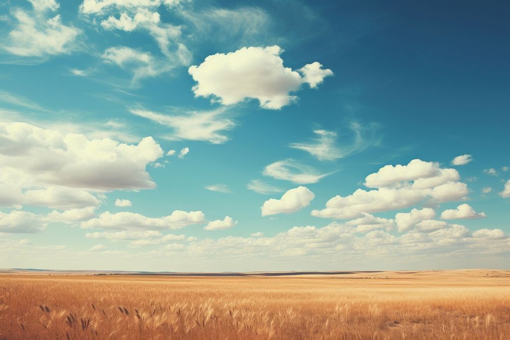 Prairie sky outdoors horizon.