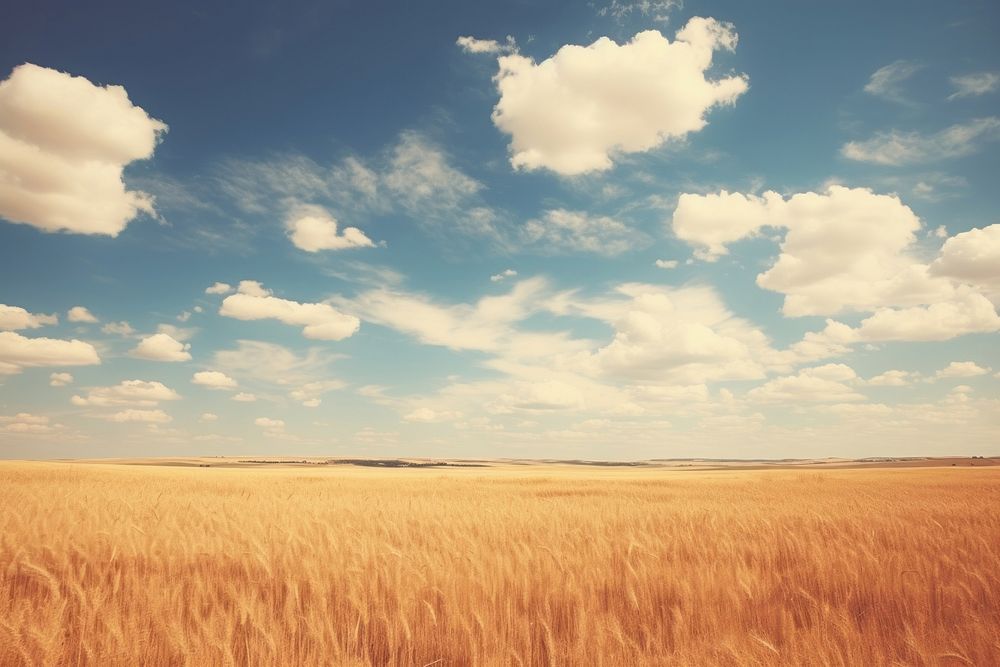 Prairie sky landscape grassland.