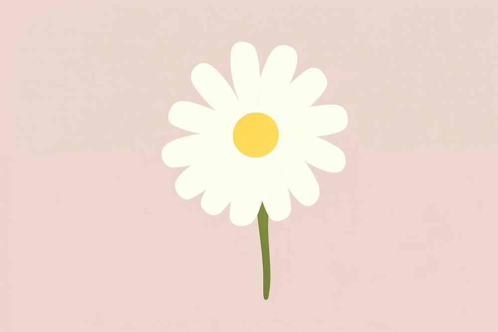 Illustration of daisy flower petal plant.