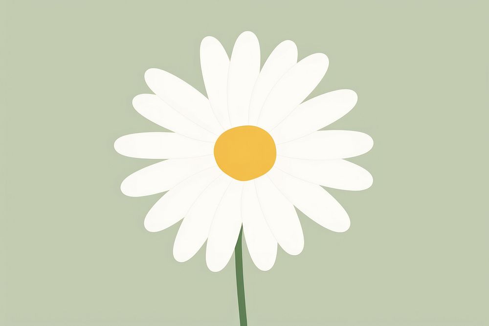 Illustration of daisy flower petal plant.