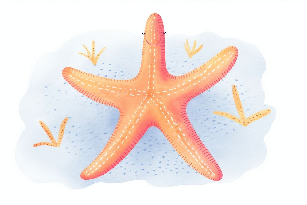 Cute starfish invertebrate underwater echinoderm.