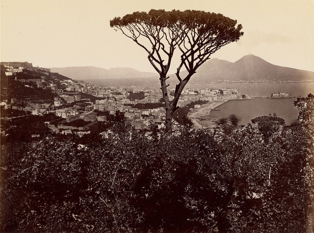 Naples Panorama by James Anderson