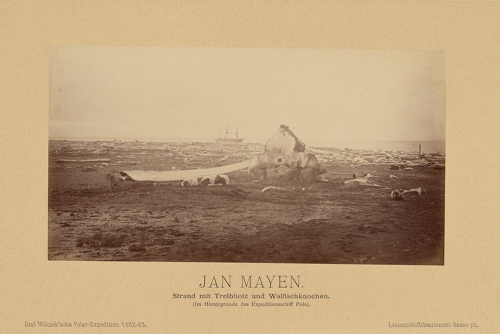 Jan Mayen, Strand mit Treibholz und Walfischknochen. (Im Hintergrunde des Expeditionsschiff Pola) by Linienschiffs…