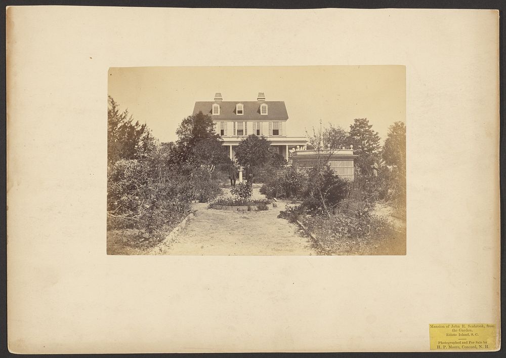 Mansion of John E. Seabrook, from the Garden. Edisto Island, South Carolina by Henry P Moore