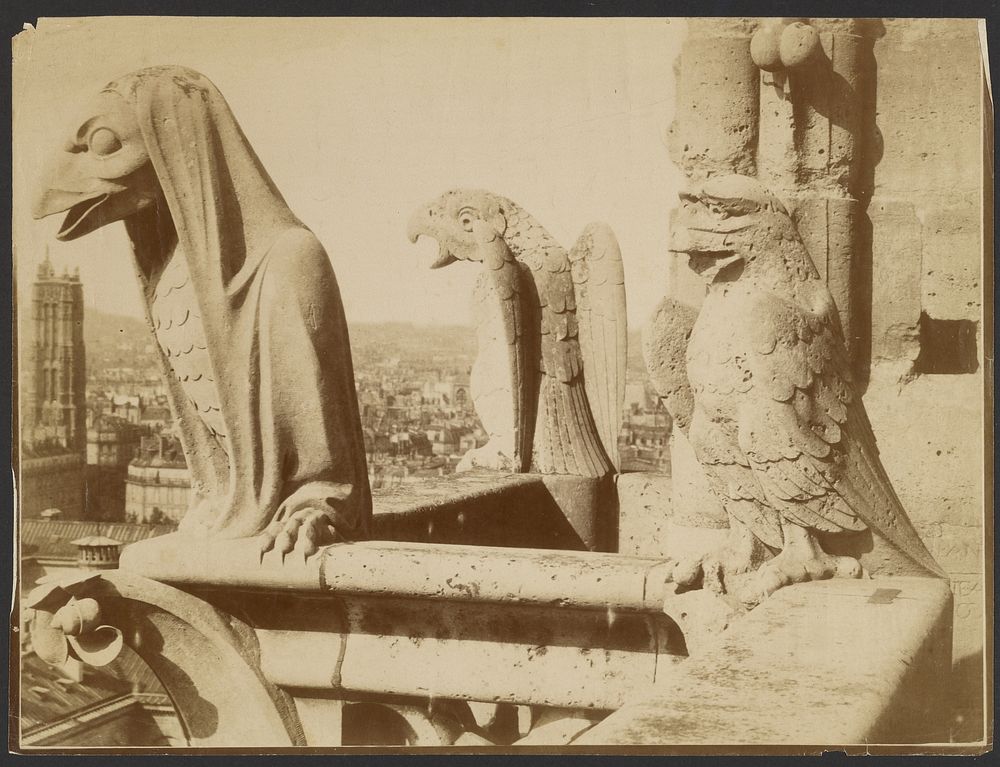 Gargoyles, Notre-Dame, Paris by Adolphe Giraudon