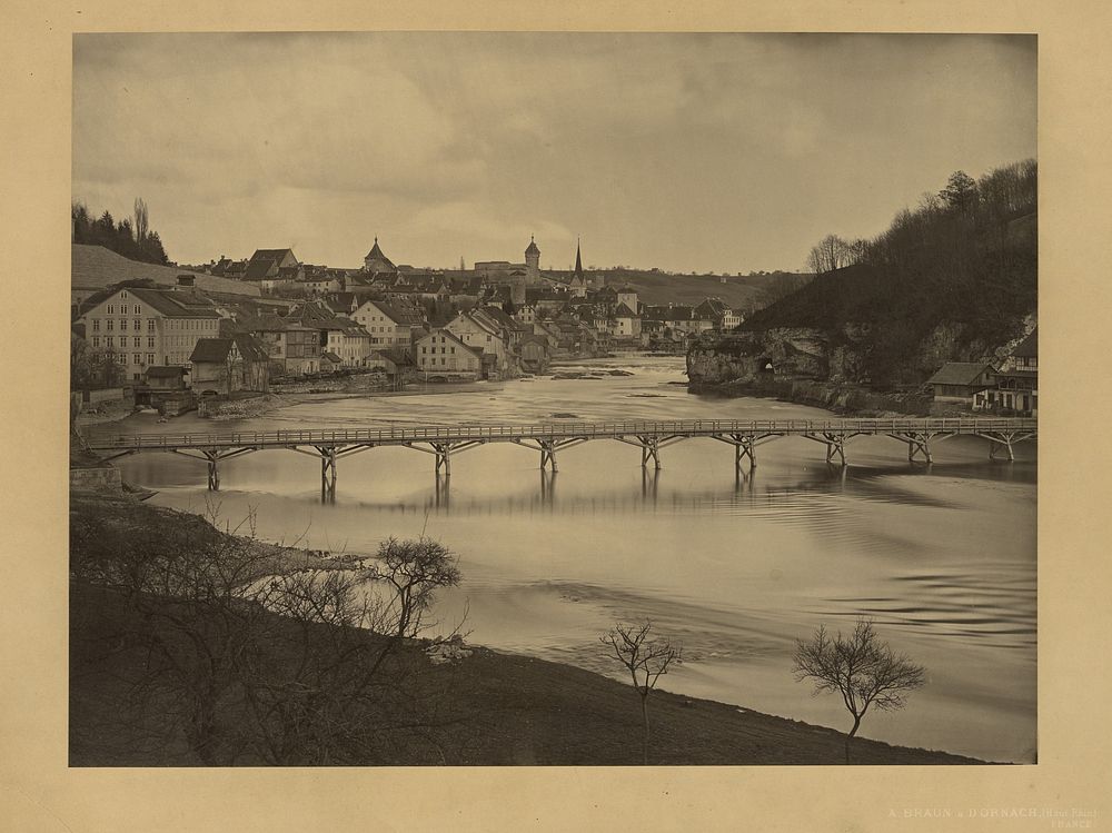 View of Shaffhausen, Switzerland by Adolphe Braun