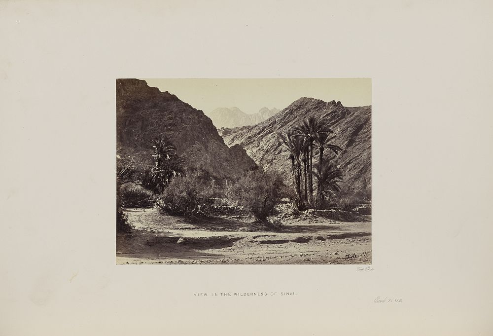 View in the Wilderness of Sinai by Francis Frith