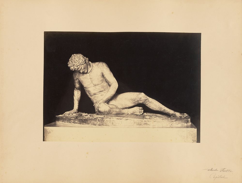 The Dying Gaul by James Anderson