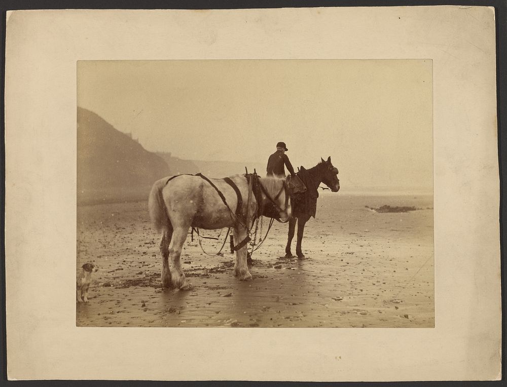 Boy with horses on beach by Frank Meadow Sutcliffe