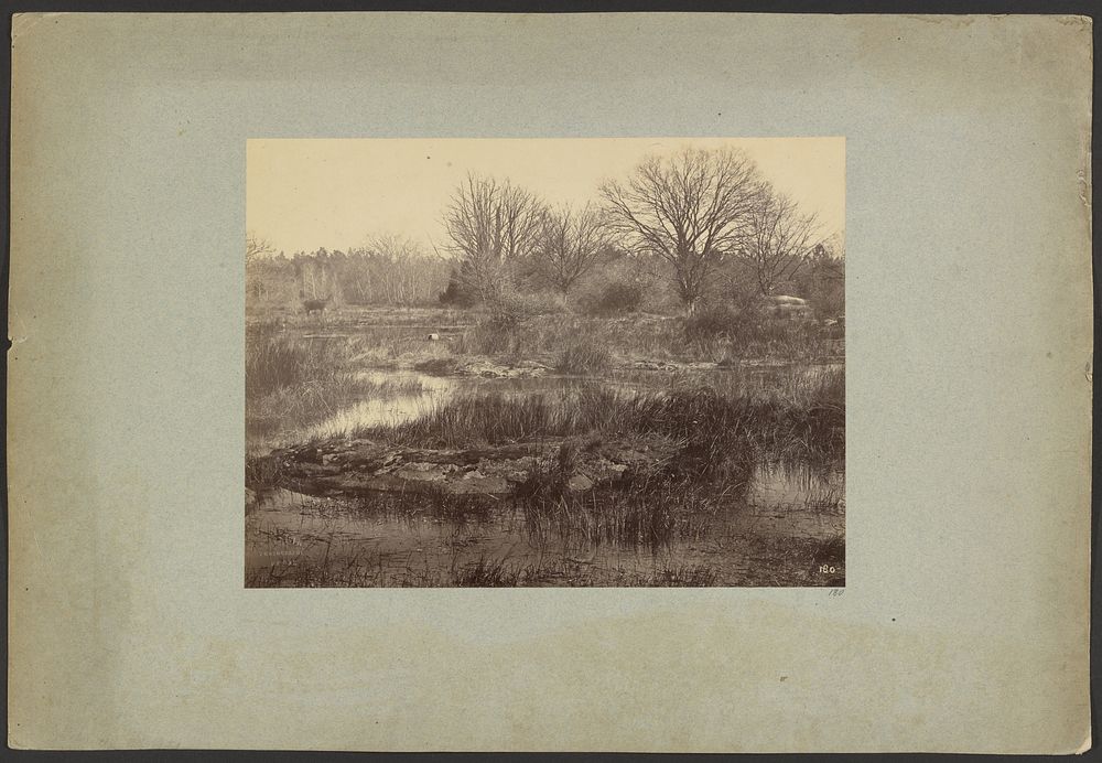 Marsh Landscape by Constant Alexandre Famin