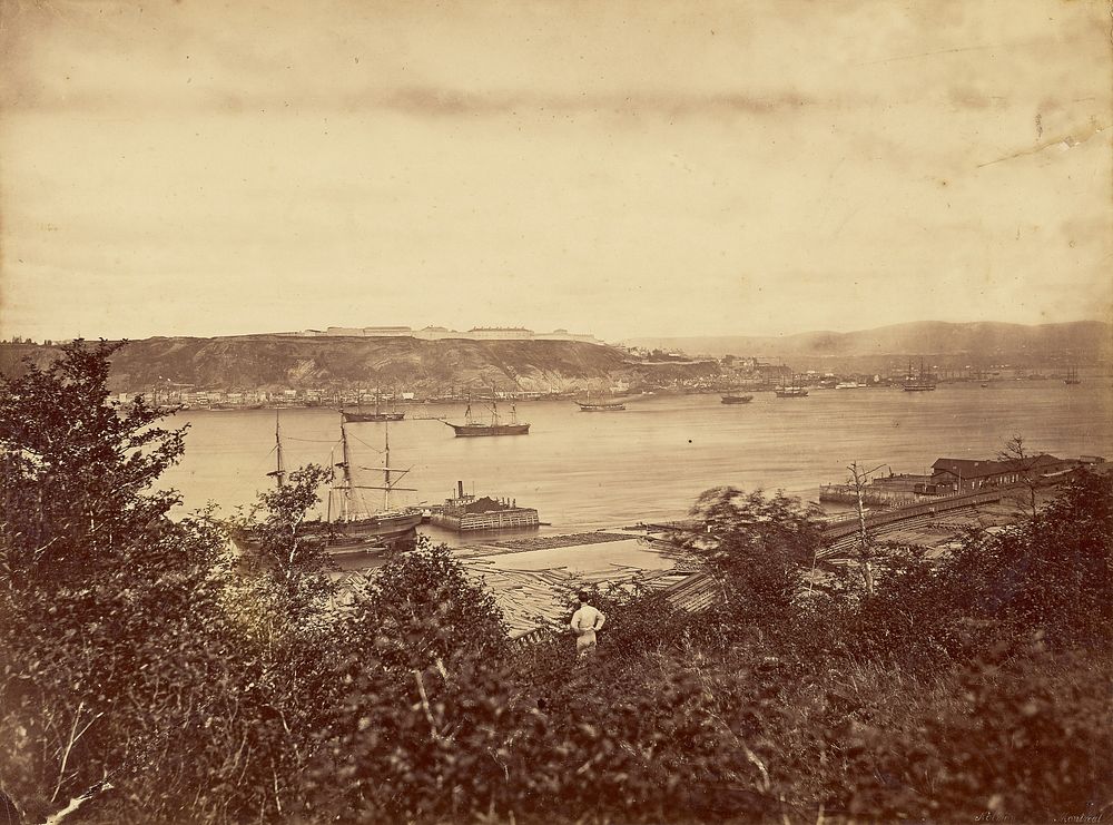 Harbor view by William Notman