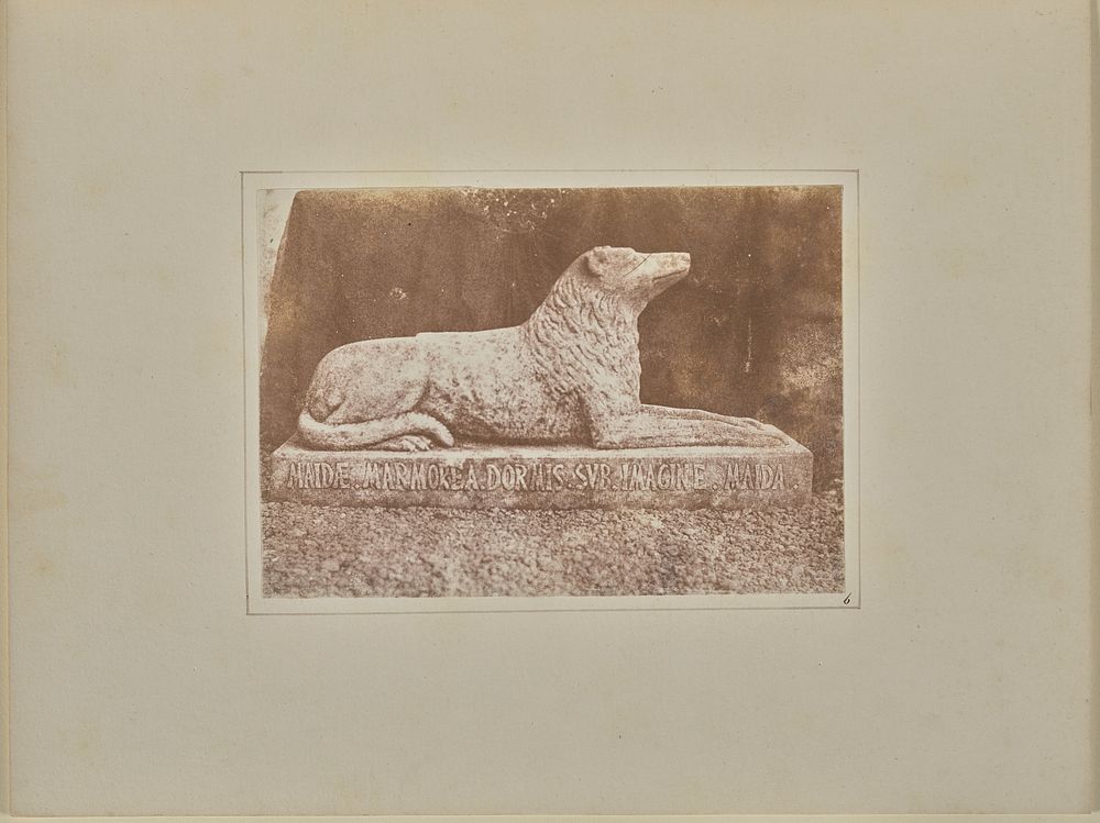 Effigy of Sir W. Scott's favourite dog Maida, by the side of the hall door at Abbotsford by William Henry Fox Talbot