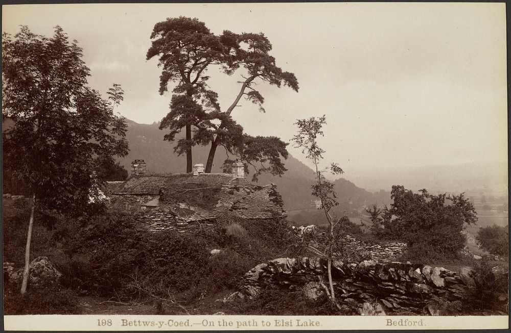 Bettws-y-Coed. On the path to Elsi Lake by Francis Bedford