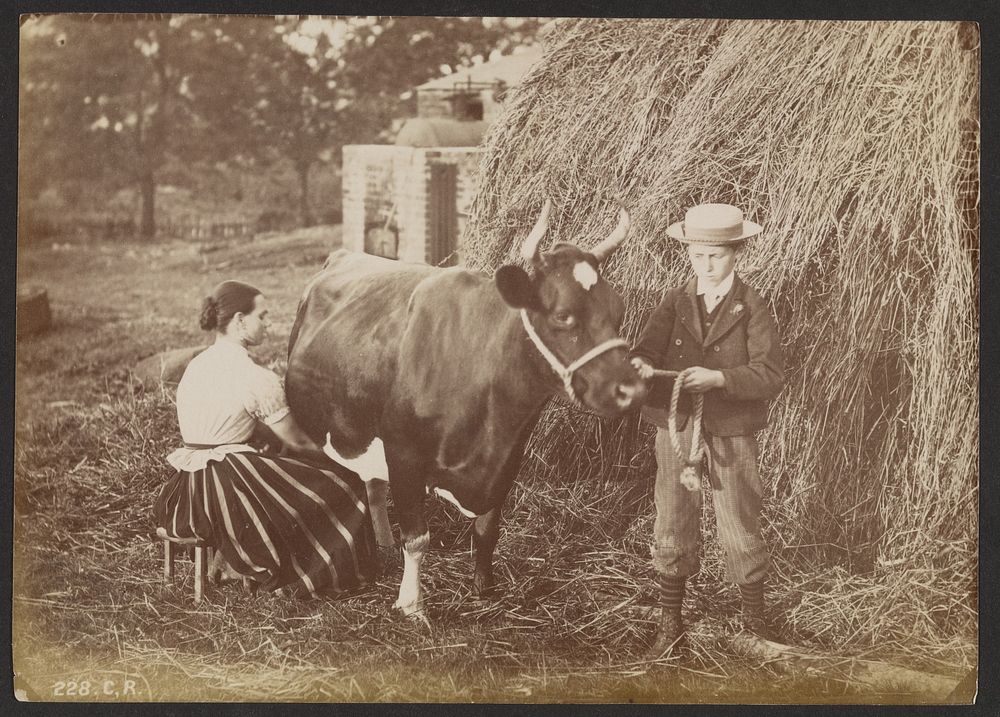 Woman milking a cow by Charles Reid