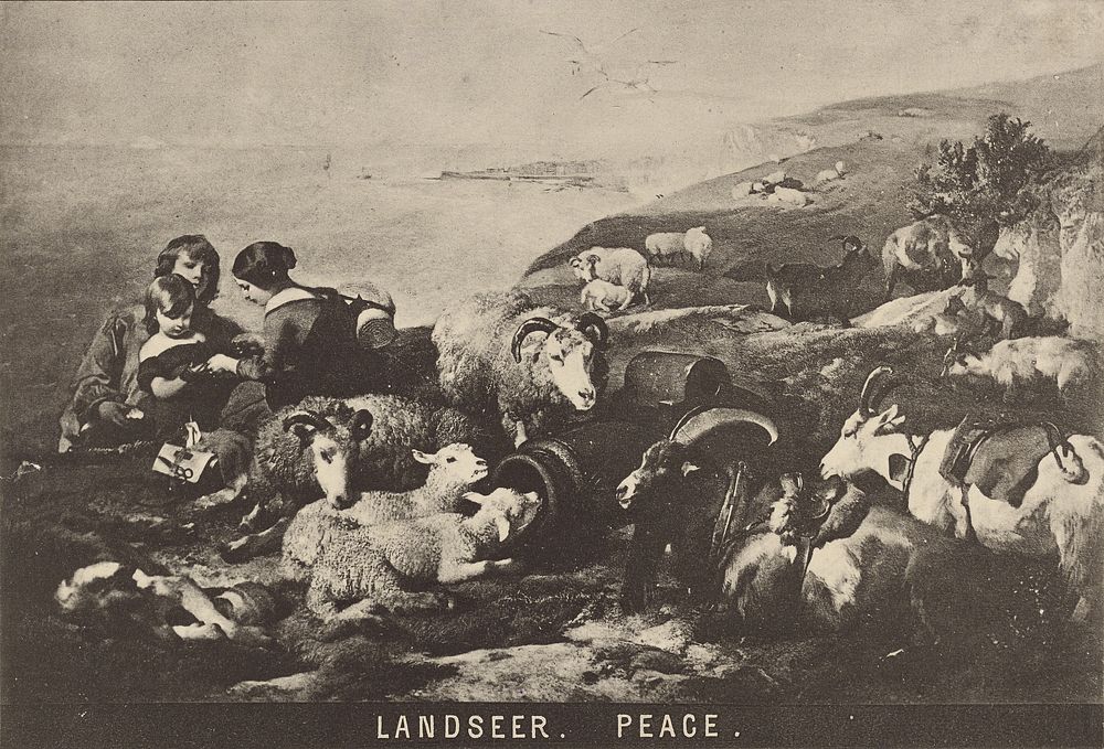 Landseer - Peace