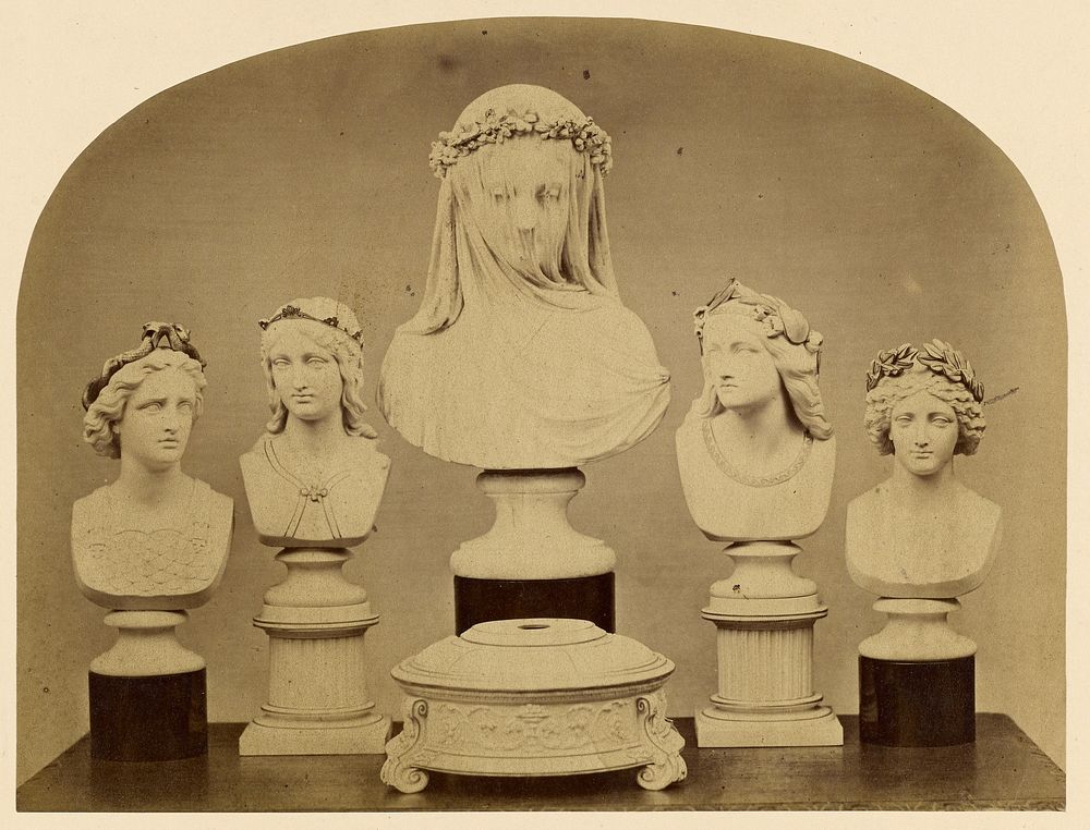 Group of busts of female figures by Photographic Institution