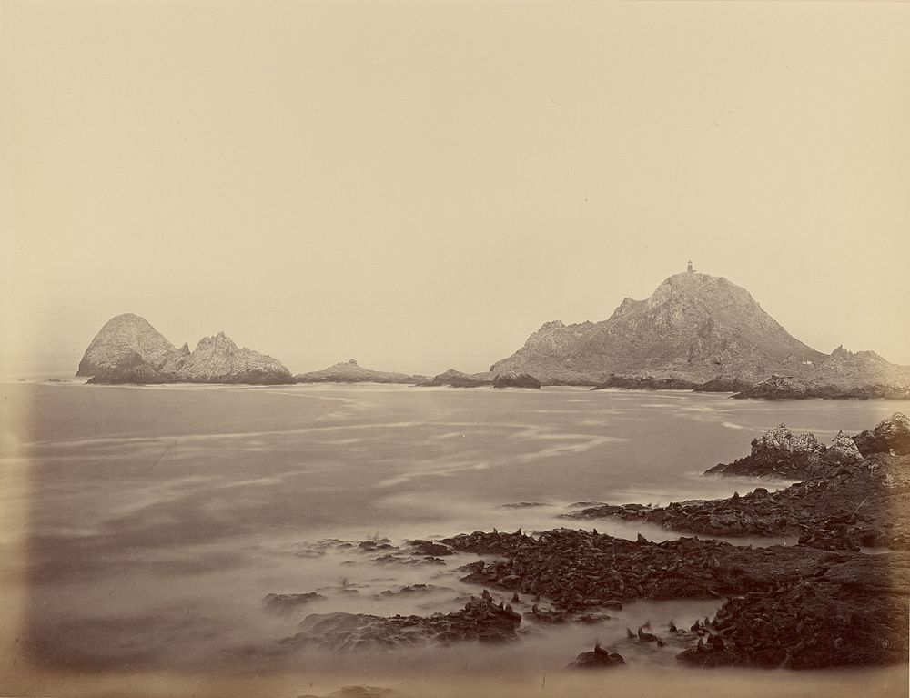 Seal Point from the West End, Farallons by Carleton Watkins