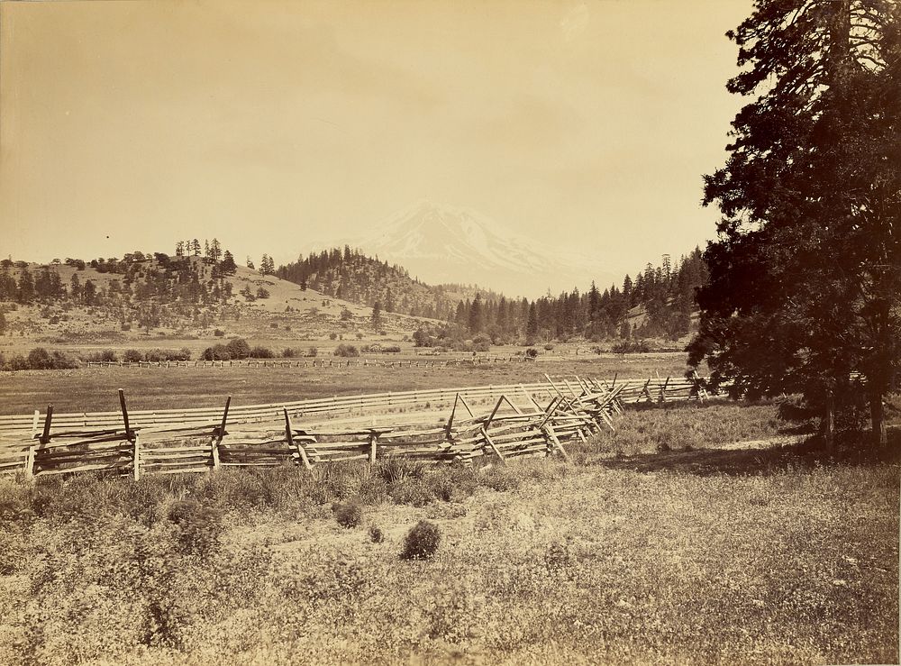 View of Mt. Shasta by Carleton Watkins