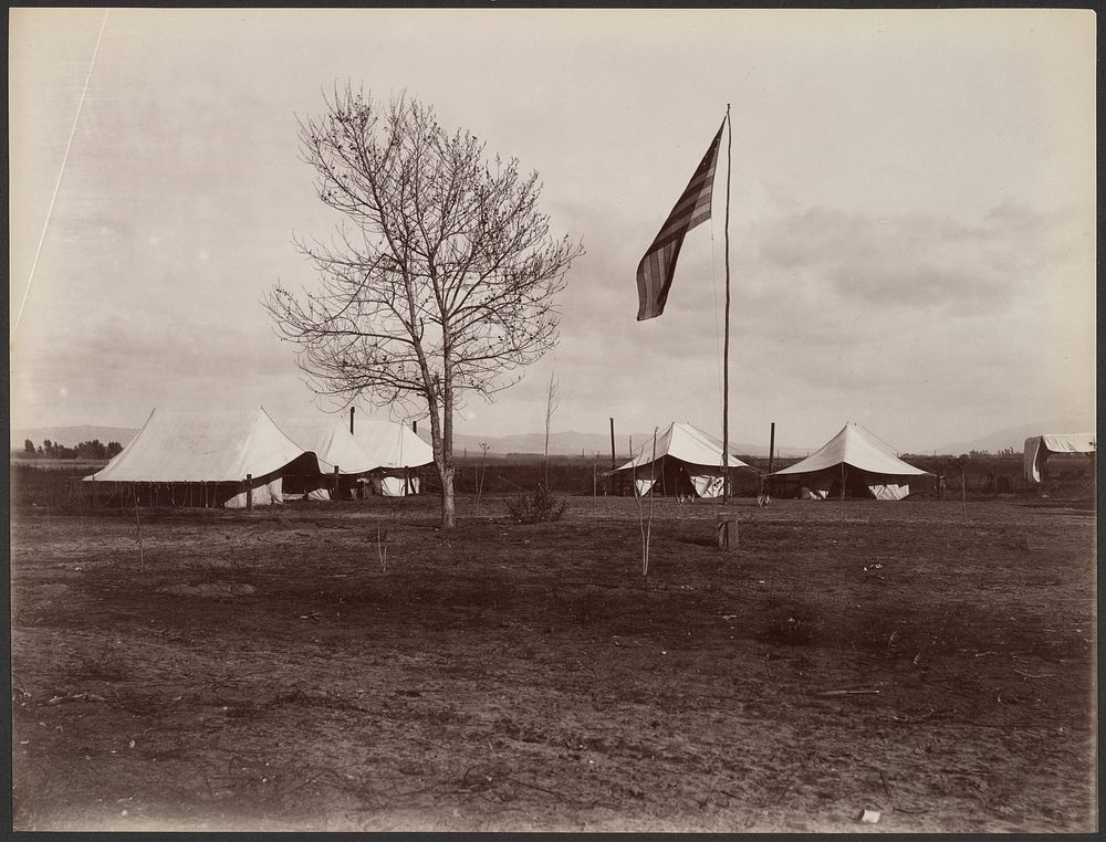 Tents, Flag, Tree by George Davidson and Carleton Watkins