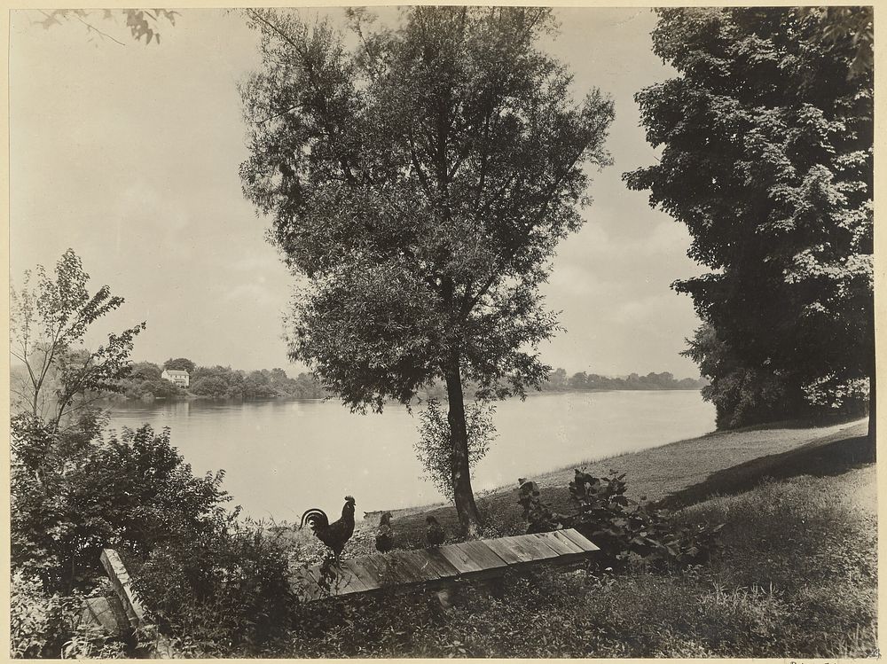 Washington's Crossing above Trenton by William H Rau