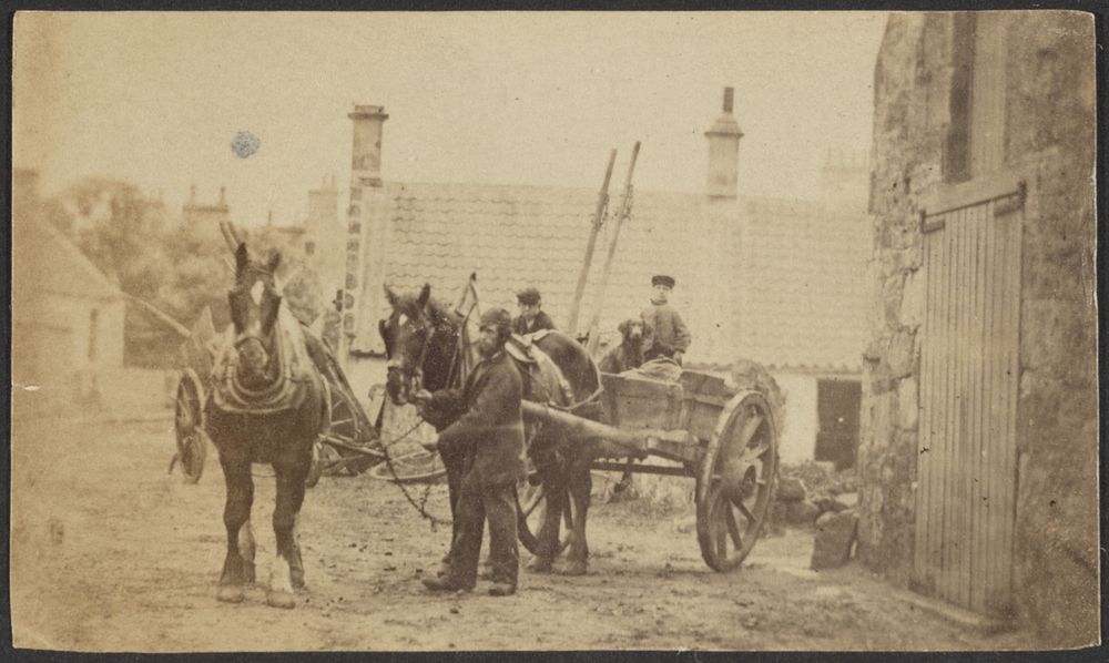 Horses Pulling a Cart