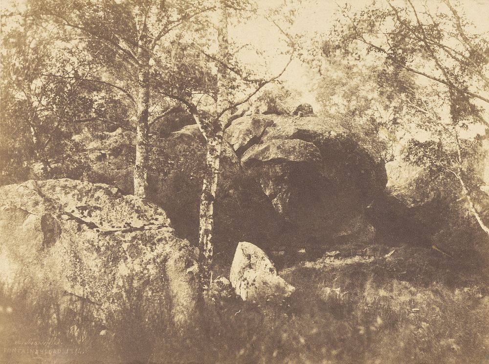 Fontainebleau by Charles Marville