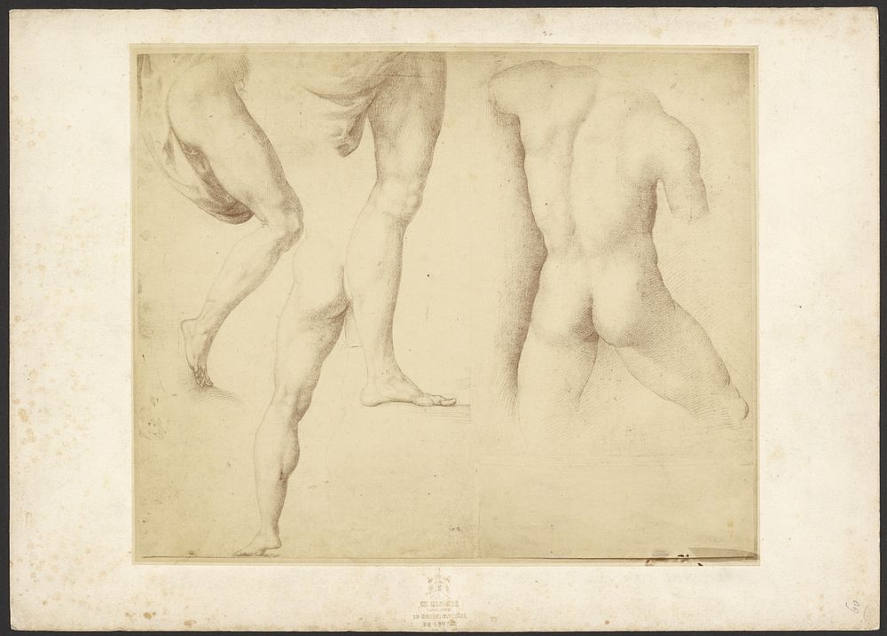 Three Male Nude Figure Studies by Raphaël by Charles Marville