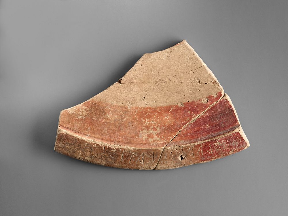 Heron Plate Fragment