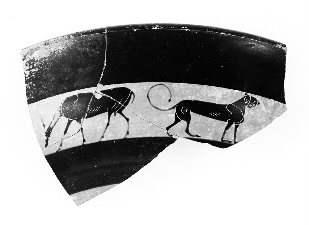 Attic Black-Figure Band Cup Rim Fragment