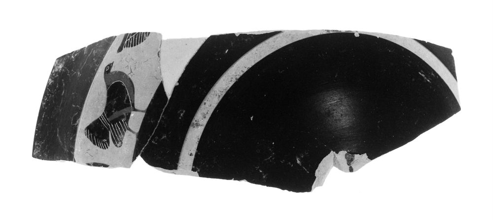 Attic Black-Figure Band Cup Fragments