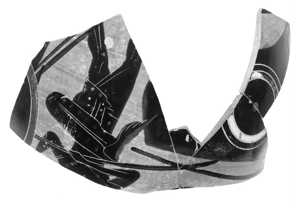 Attic Black-Figure Neck Amphora Fragment (comprised of 4 Joined Fragments)