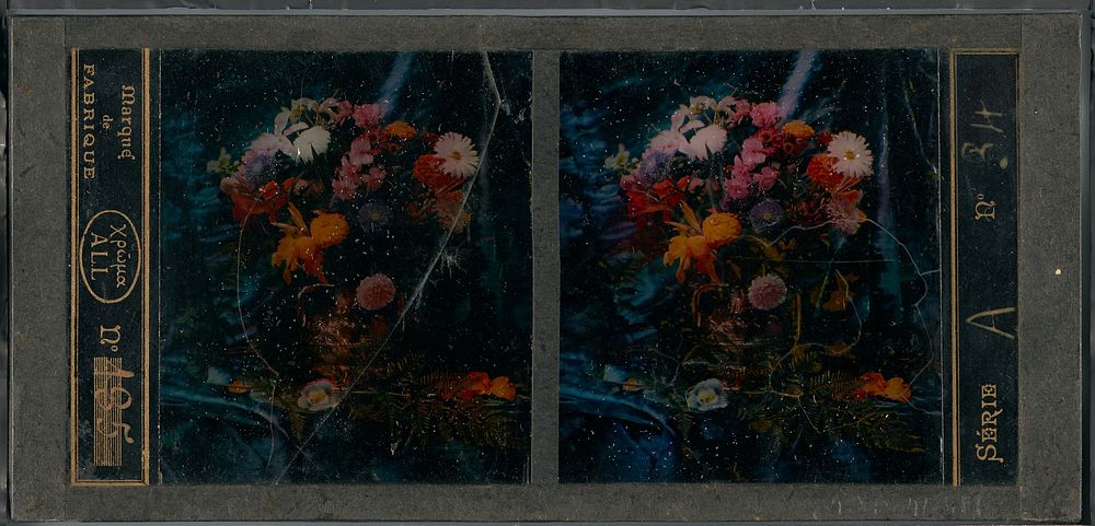 Still life of flowers and ferns by Lumière Brothers