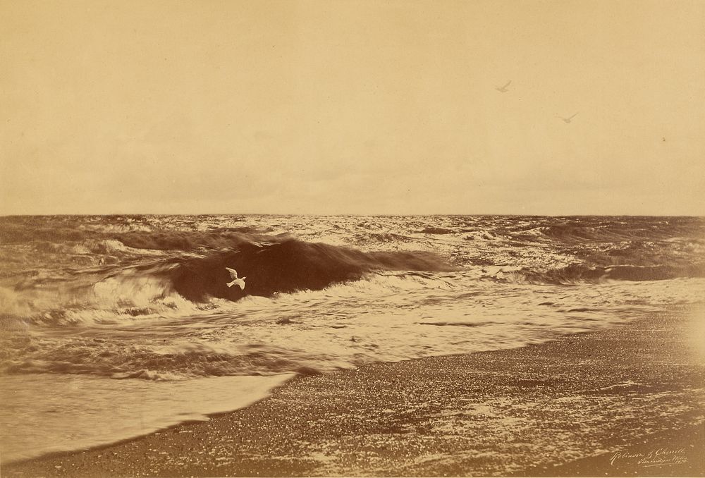 The Beached Margent of the Sea by Henry Peach Robinson and Nelson King Cherrill