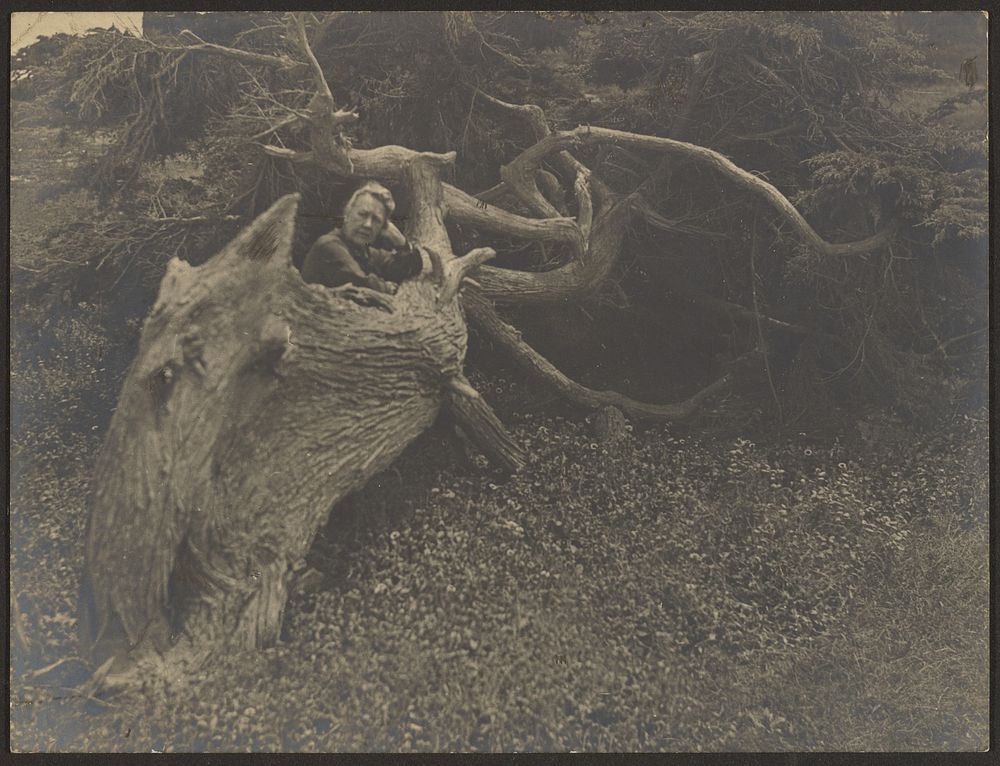 Mrs. Fleckenstein Leaning on Large Fallen Tree by Louis Fleckenstein