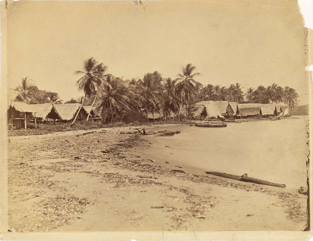 Huts, Palm Trees and Beach, Itshumus of Darién (Panama) by Timothy H O Sullivan