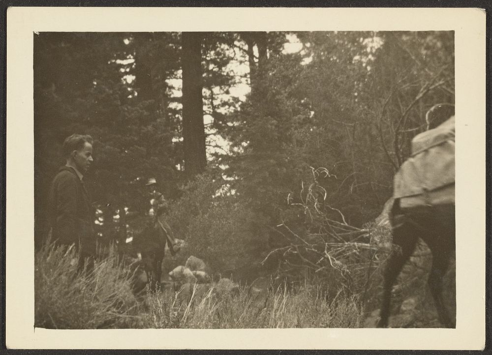Figures in Woods with Mule by Louis Fleckenstein