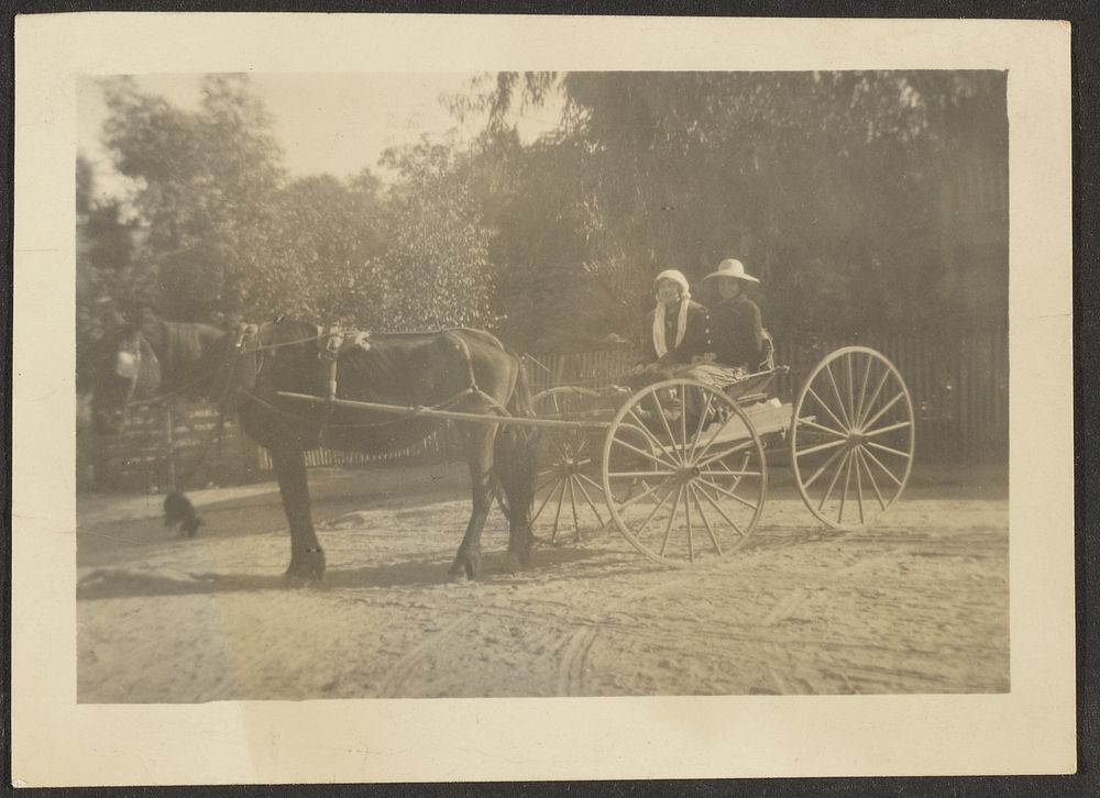 Couple in Horse Cart by Louis Fleckenstein