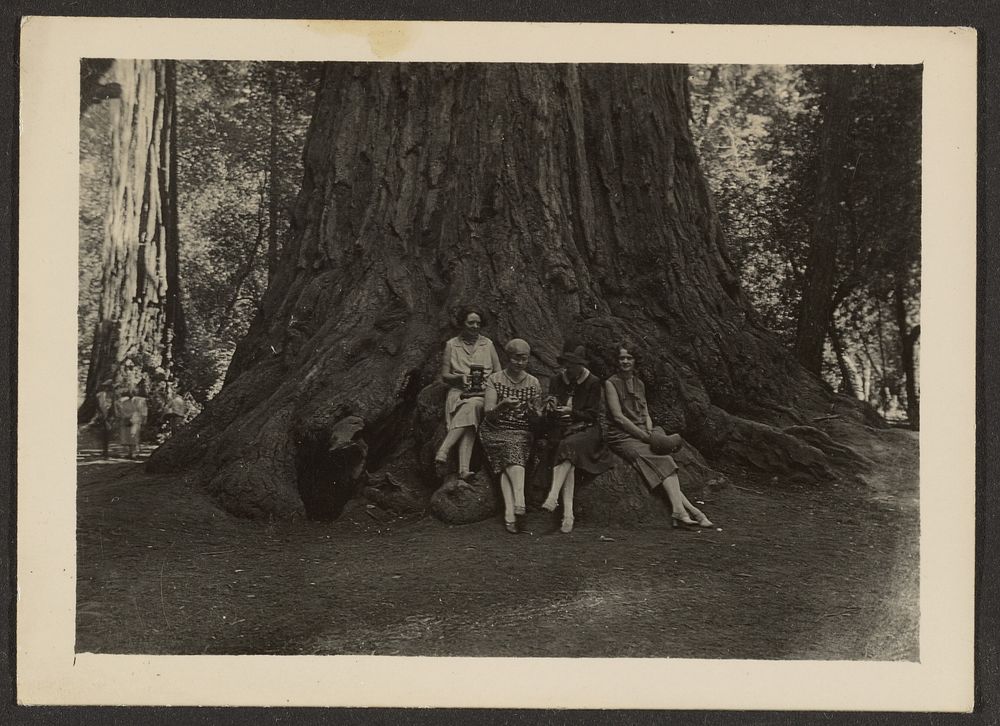 Group Portrait at Base of Tree by Louis Fleckenstein