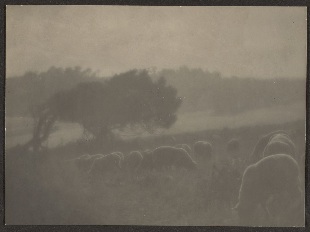 Landscape with Sheep by Louis Fleckenstein