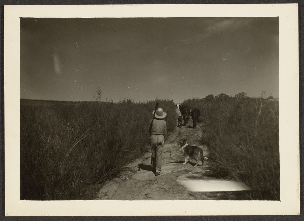 Figure on Trail with Dogs by Louis Fleckenstein