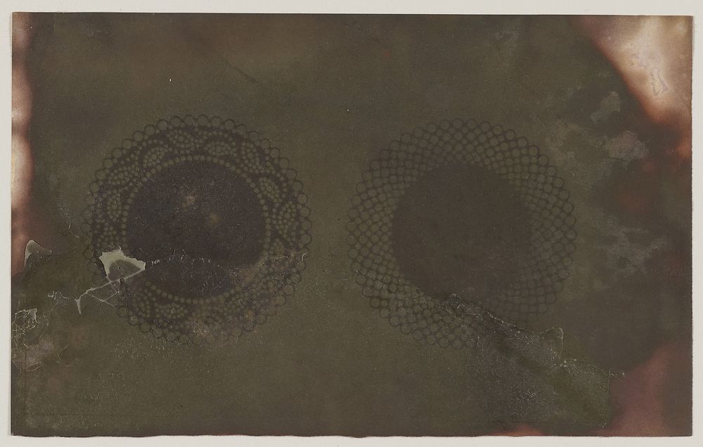 Lace Doilies by William Henry Fox Talbot