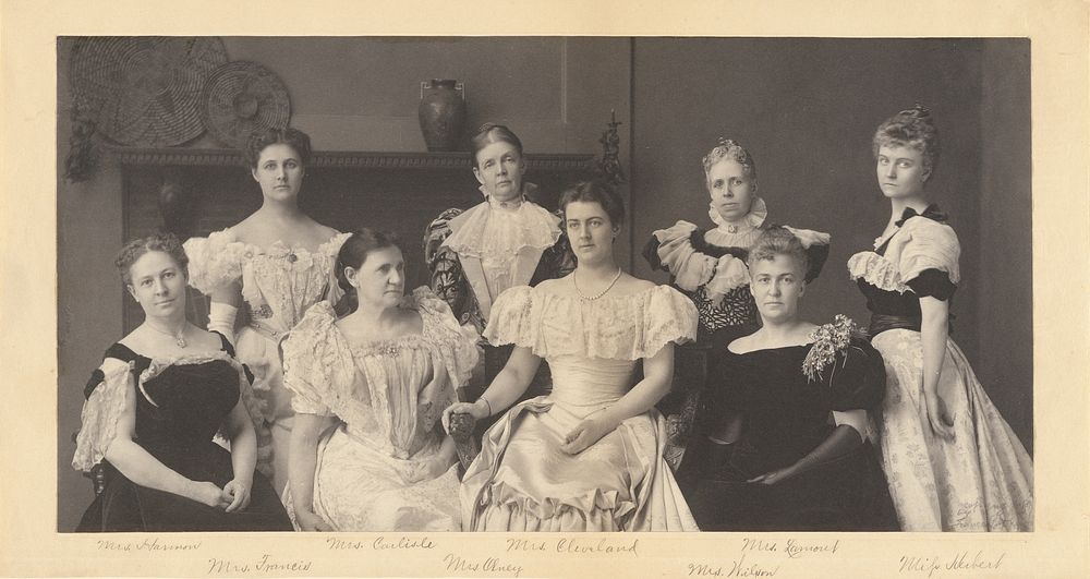 Mrs. Grover Cleveland and the Wives of Members of President Grover Cleveland's Cabinet by Frances Benjamin Johnston