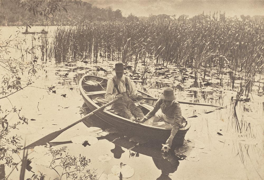 Gathering Water Lilies by Peter Henry Emerson