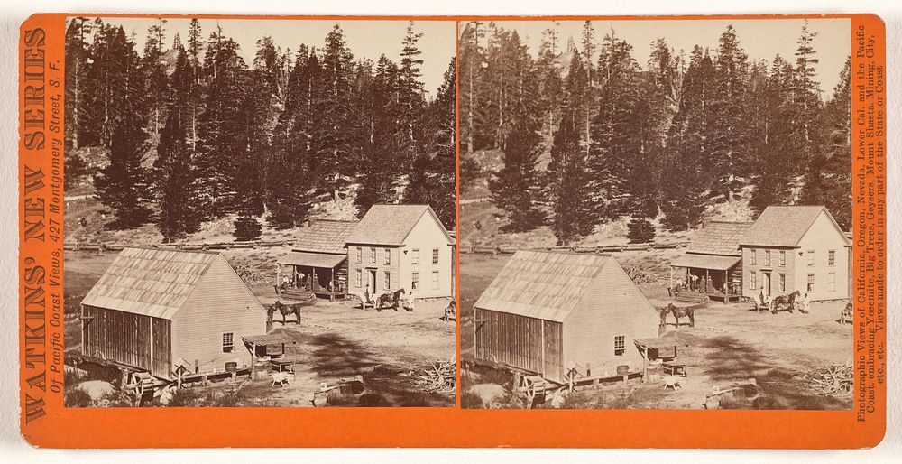 Woodbridge's, Alpine County, California by Carleton Watkins