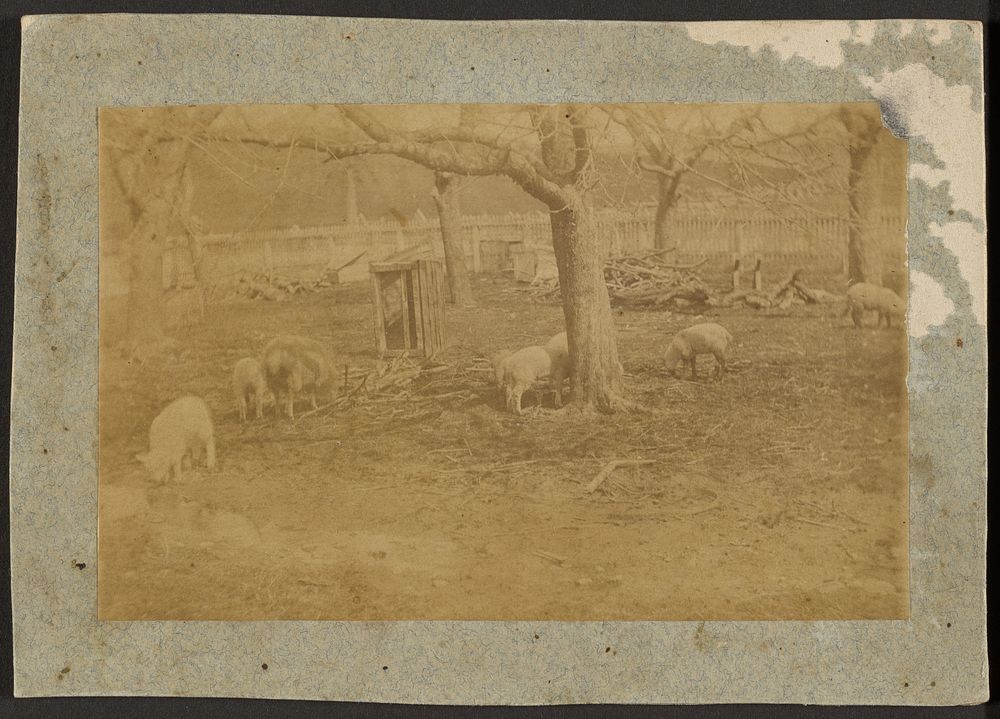 Crowell Farm at Avondale, PA by Thomas Eakins